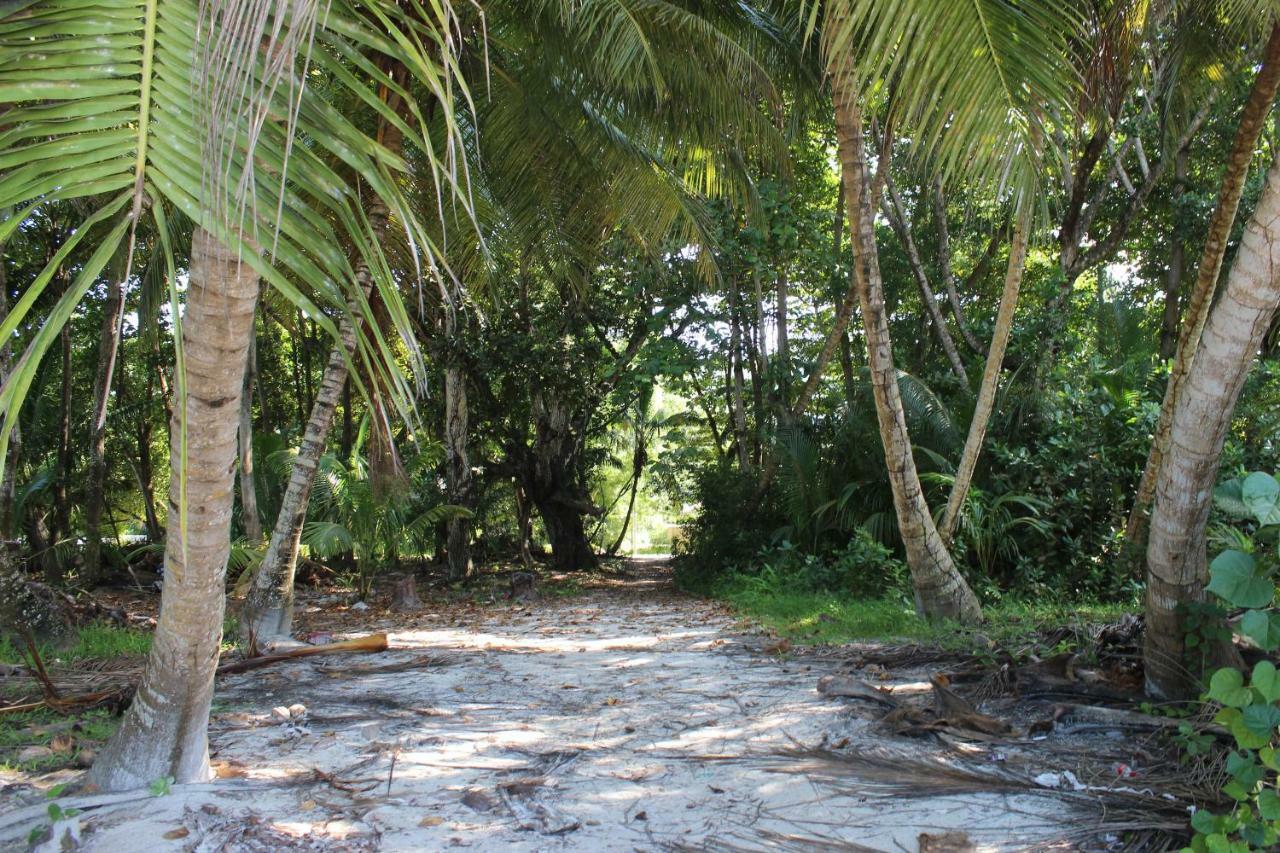 Chez Antoine Apartments Grand Anse  Bagian luar foto